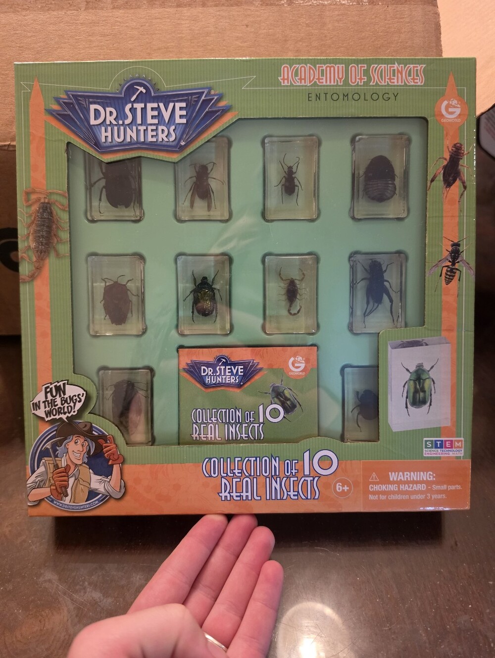 Bug World Collection